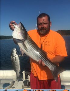 Two striped bass and white bass caught fishing in Garfield