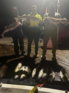 Five fish caught while fishing in AR