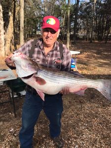 One person catches a 26-inch fish in Garfield