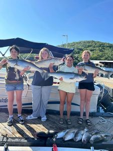4 striped bass caught while fishing in Garfield