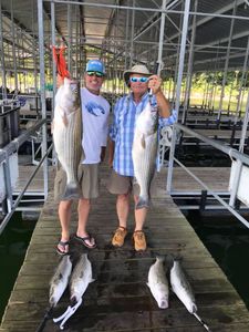 5 striped bass caught while fishing in AR