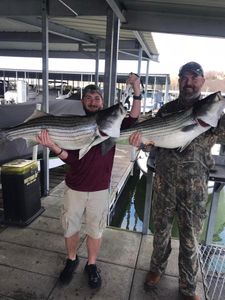Two striped bass caught on a fishing trip in AR