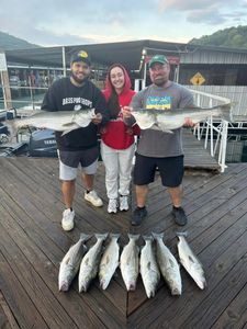 Striped bass fishing in AR