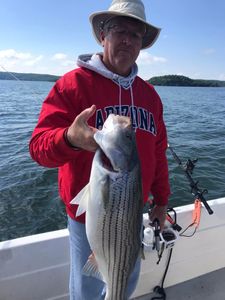 Striped bass caught while fishing in Garfield