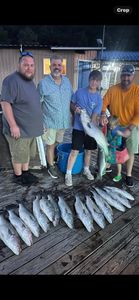 Two striped bass caught in Garfield