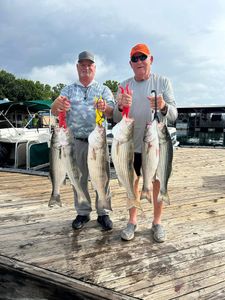 Three striped bass caught by two people in Garfield