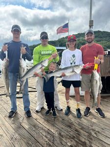 Four striped bass caught during a fishing trip in Garfield