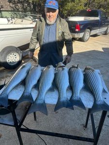 Striped bass fishing in Garfield