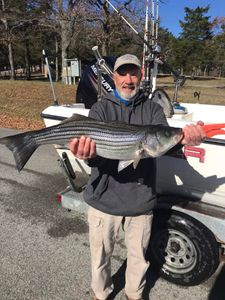 Striped bass caught by angler in Garfield
