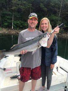 Striped bass caught in Garfield with fishing gear