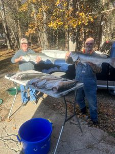 Two striped bass caught in Garfield