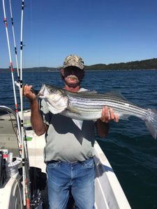 Striped bass caught in Garfield