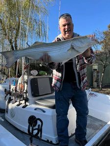 Striped bass caught in Garfield
