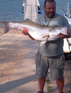 Striped bass caught by angler in Garfield