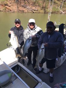 Striped bass fishing at Garfield location