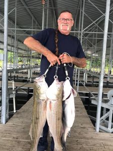 3 striped bass fishing in Garfield