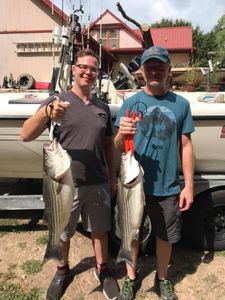 Two striped bass fish caught by two people in Garfield