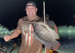 Blue tilapia fish caught while fishing in FL