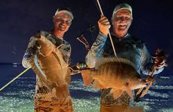 Two blue tilapia fish caught while fishing in FL