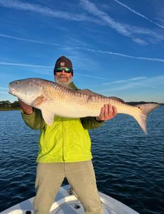 Rods up, spirits high, Redfish fire!