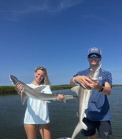 Two Atlantic Sharpnose Sharks, a 23-inch catch, in Bluffton