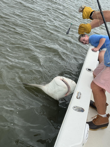 Mastering the art of deep sea bait casting in unpredictable Bluffton weather!