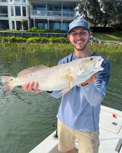 Redfish caught in Bluffton