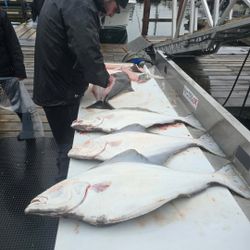 3 fish caught while fishing in BC