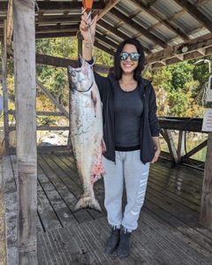 Salmon season: Vancouver Island's bounty