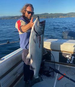 Salmon Spectacle: Vancouver Island Majesty