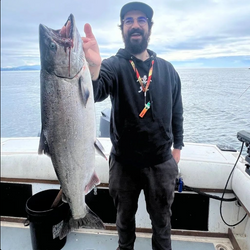 Chinook salmon caught in BC