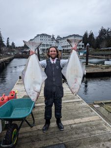 Reels Of The Day. B.C Finest Halibut 