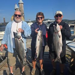 Three Chinook salmon caught in BC