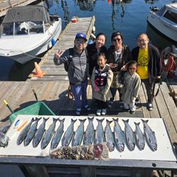 3 fishing rods catching fish in Sooke