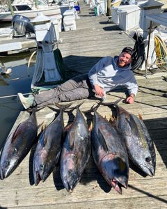 Tuna Haul Of The Day In Point Pleasant, NJ