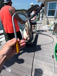 Angler fishing in New Jersey