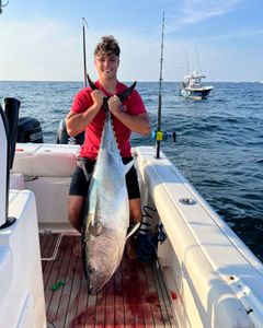 Blackfin tuna, a 37-inch fish, caught while fishing in NJ