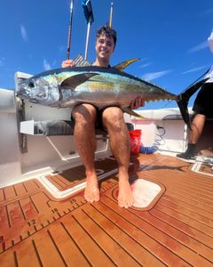 Blackfin tuna caught while fishing in NJ