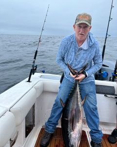 Blackfin Tuna, a large fish caught while fishing in Point Pleasant