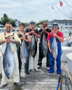 4 blackfin tuna fish caught in NJ
