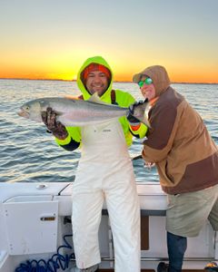 Bluefish, 21 inches, fishing in NJ