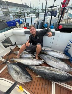 5 little tunny and atlantic bonito fish caught at point pleasant
