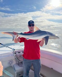 Catch of the day: Bull Shark fishing in NJ