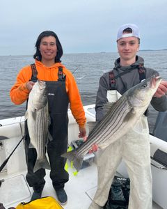 Two striped bass caught in Point Pleasant