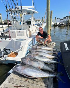 Two yellowfin tuna fish caught during a fishing trip in Point Pleasant