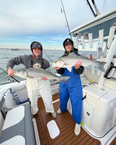 Wiper (hybrid striped bass) and striped bass caught in NJ
