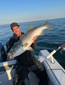 Angler holding a 29-inch fish in Point Pleasant