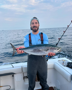 A single little tunny fish caught by an angler at Point Pleasant