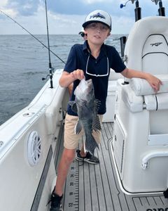 Successful sea bass fishing trip in NJ