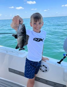 Fisherman catches a 12-inch sea bass at Point Pleasant
